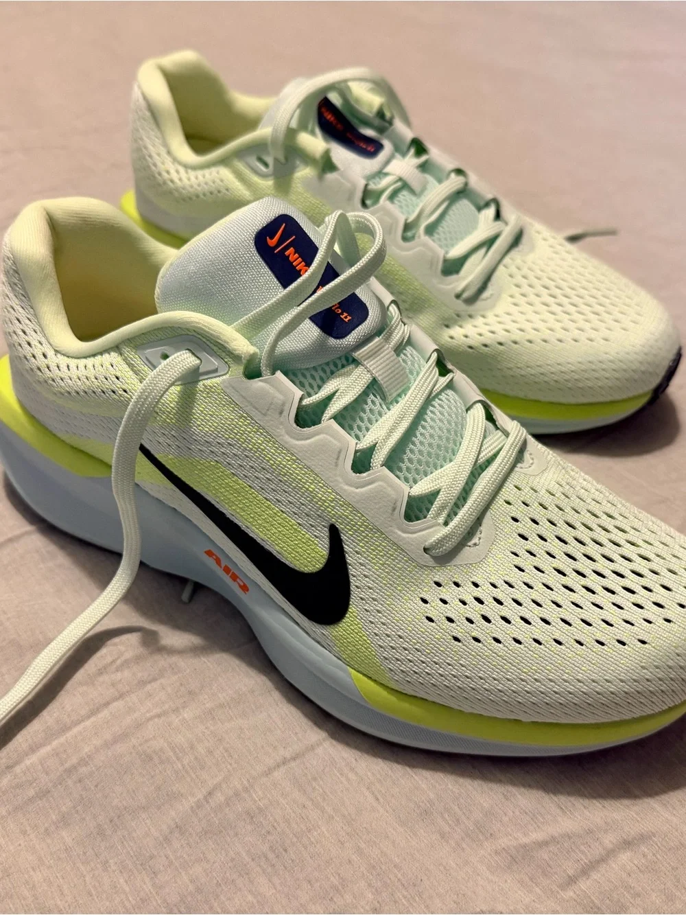 Nike Women’s Air Winflo 11